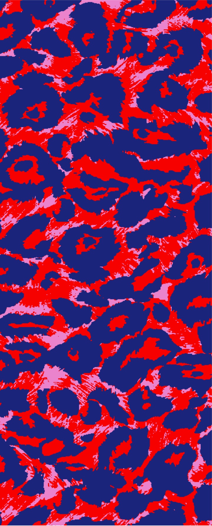 Amazon Pattern